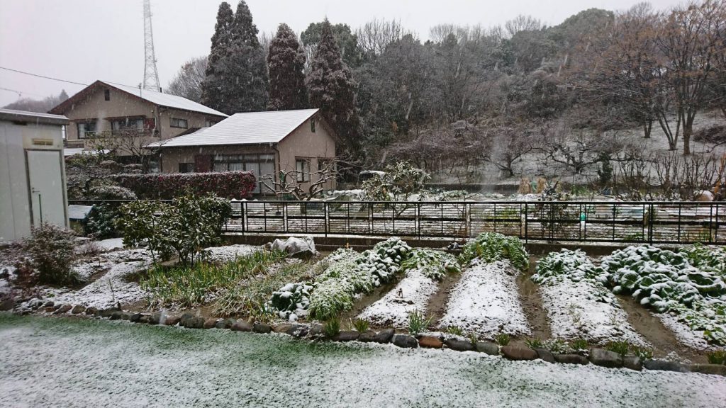 早島町　雪景色①